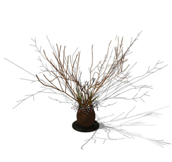 现代干支su模型