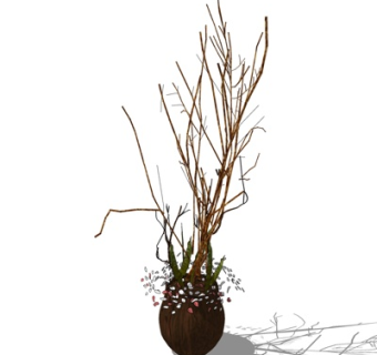 现代干支su模型