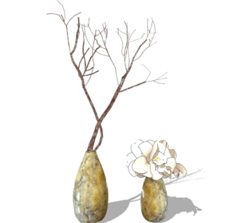 现代干支su模型