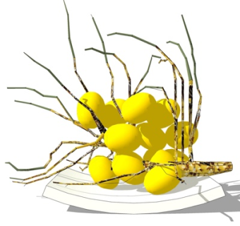 现代装饰品su模型