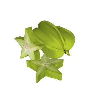 现代杨桃su模型