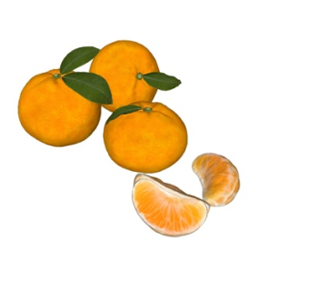 现代橘子su模型