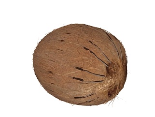 现代椰子su模型