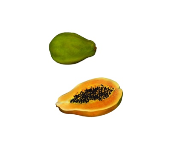 现代蜜瓜su模型