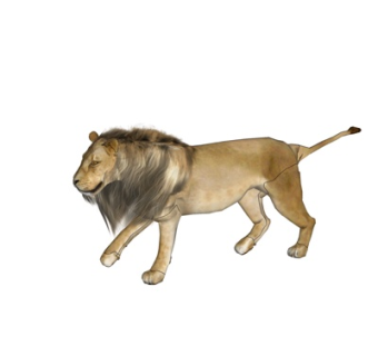 现代狮子su模型