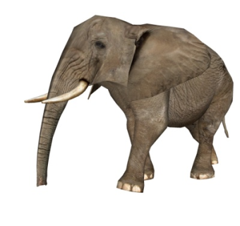 现代大象su模型