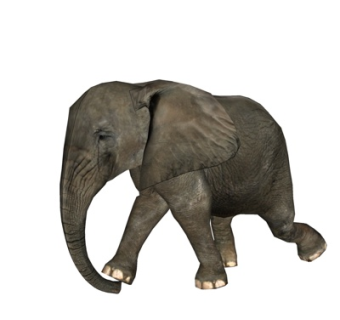 现代大象su模型