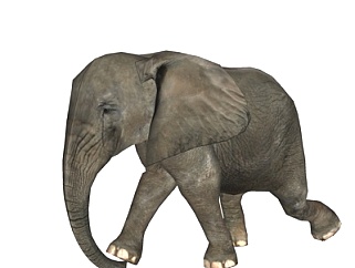 现代大象su模型
