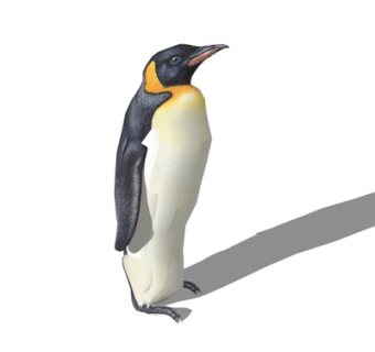现代企鹅su模型