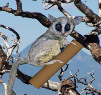 现代树袋熊su模型