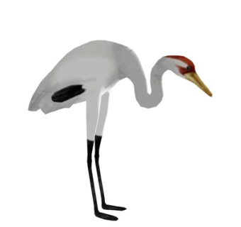 现代丹顶鹤su模型