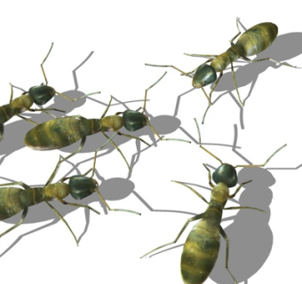 现代蚂蚁su模型