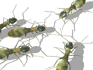 现代蚂蚁su模型