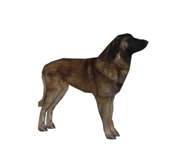 现代狼狗su模型