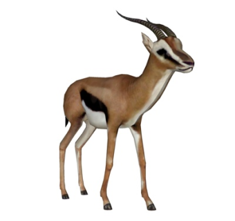 现代羚羊su模型