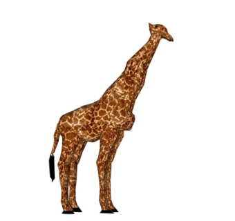 现代长颈鹿su模型