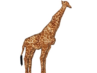 现代长颈鹿su模型