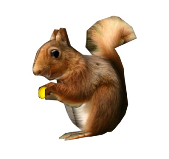 现代松鼠su模型