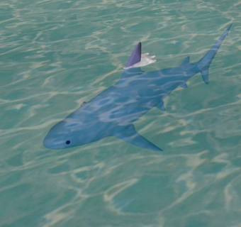 现代鲨鱼su模型