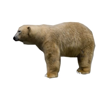 现代北极熊su模型