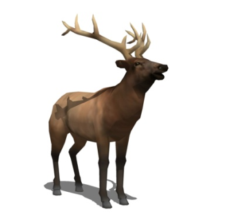 现代驯鹿su模型