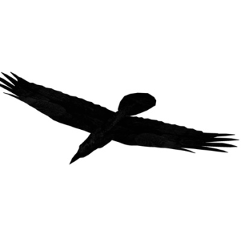 现代小鸟su模型