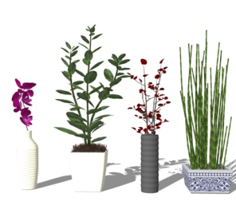 现代盆栽花瓶花卉su模型