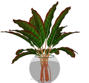 现代玻璃花瓶花卉su模型