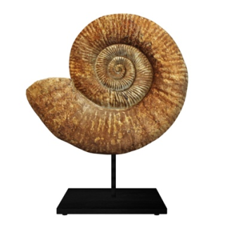 现代蜗牛壳摆件su模型