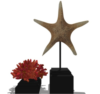 现代珊瑚海星摆件su模型