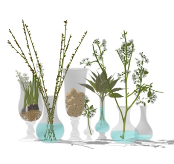 现代花瓶花卉su模型