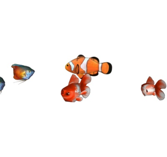 现代金鱼su模型