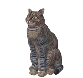现代宠物猫su模型