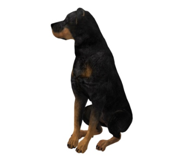 现代宠物狗su模型