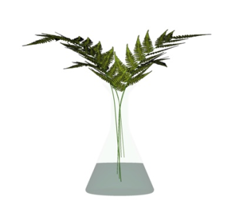 现代花瓶花卉su模型