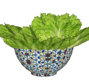 现代生菜su模型