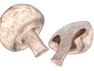 现代蘑菇su模型