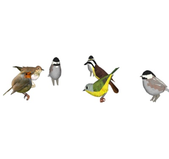 现代鸟儿su模型