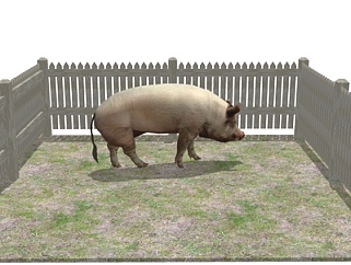现代猪栏猪su模型