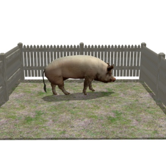 现代猪栏猪su模型