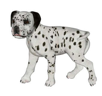 现代狗狗su模型