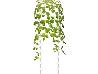 现代绿植花瓶su模型
