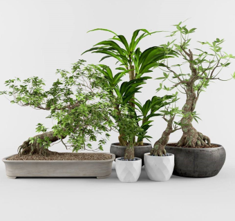 现代室内绿植盆栽su模型