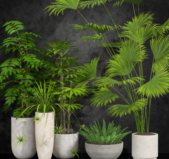 现代室内绿植盆栽su模型