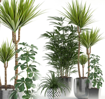 现代室内绿植盆栽su模型