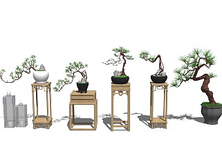 中式盆栽植物su模型