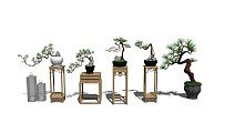 中式盆栽植物su模型