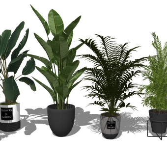 现代简约盆栽植物su模型