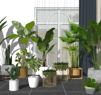 现代室内绿植盆栽su模型