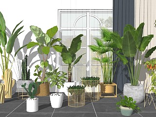 现代室内绿植盆栽su模型